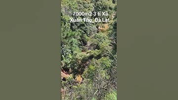 7000m2 3 tỉ Xã Xuân Thọ, Tp Đà Lạt. 0962004900 #shorts