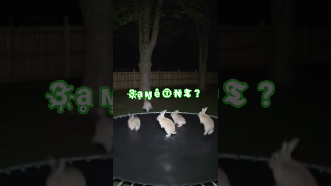 #edit #pvz2 #beats #memes #pvzmobile #sansmeme #pvz #pvzgameplay #halloween #roblox