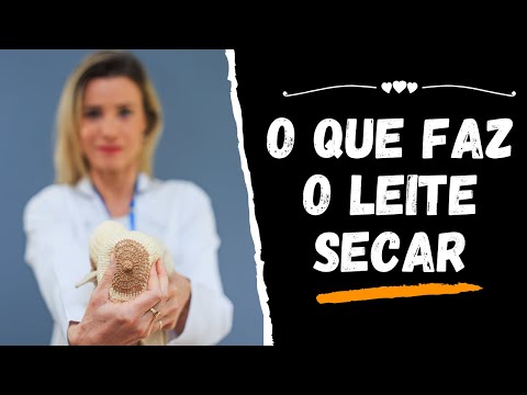 O QUE FAZ O LEITE SECAR