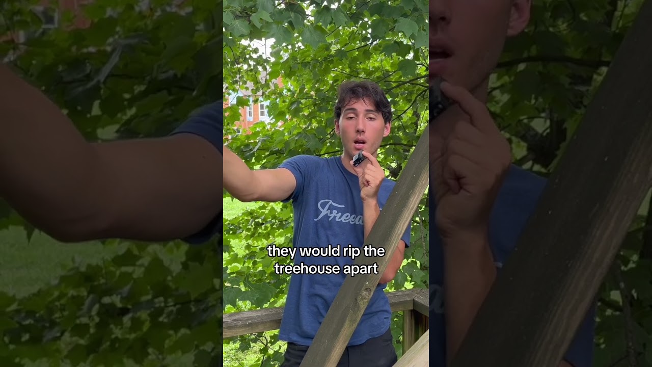 Treehouse Drawbridge! 35’ high! 