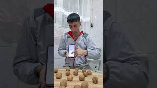 Bol Cevizli Bi Gösteriii