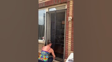 Easy Installation Demo for Magnetic Screen Door #amazonfinds