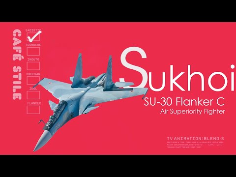 S is for Sukhoi