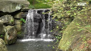 HIDDEN WATERFALLS in Central Park | Localish
