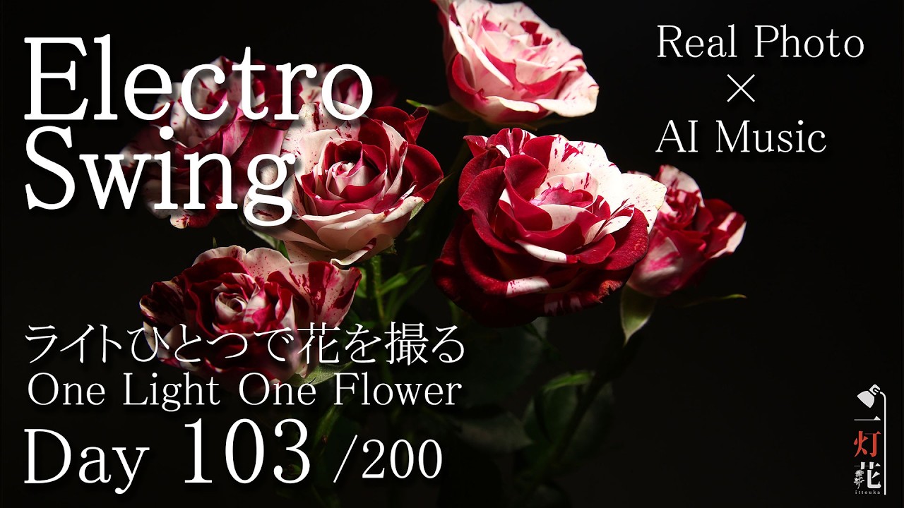 アート・デザイン・音楽 ART IS THE FLOWER Electro Swing》Sparkling Graffiti| Flower Music ｜ 一灯花 -103