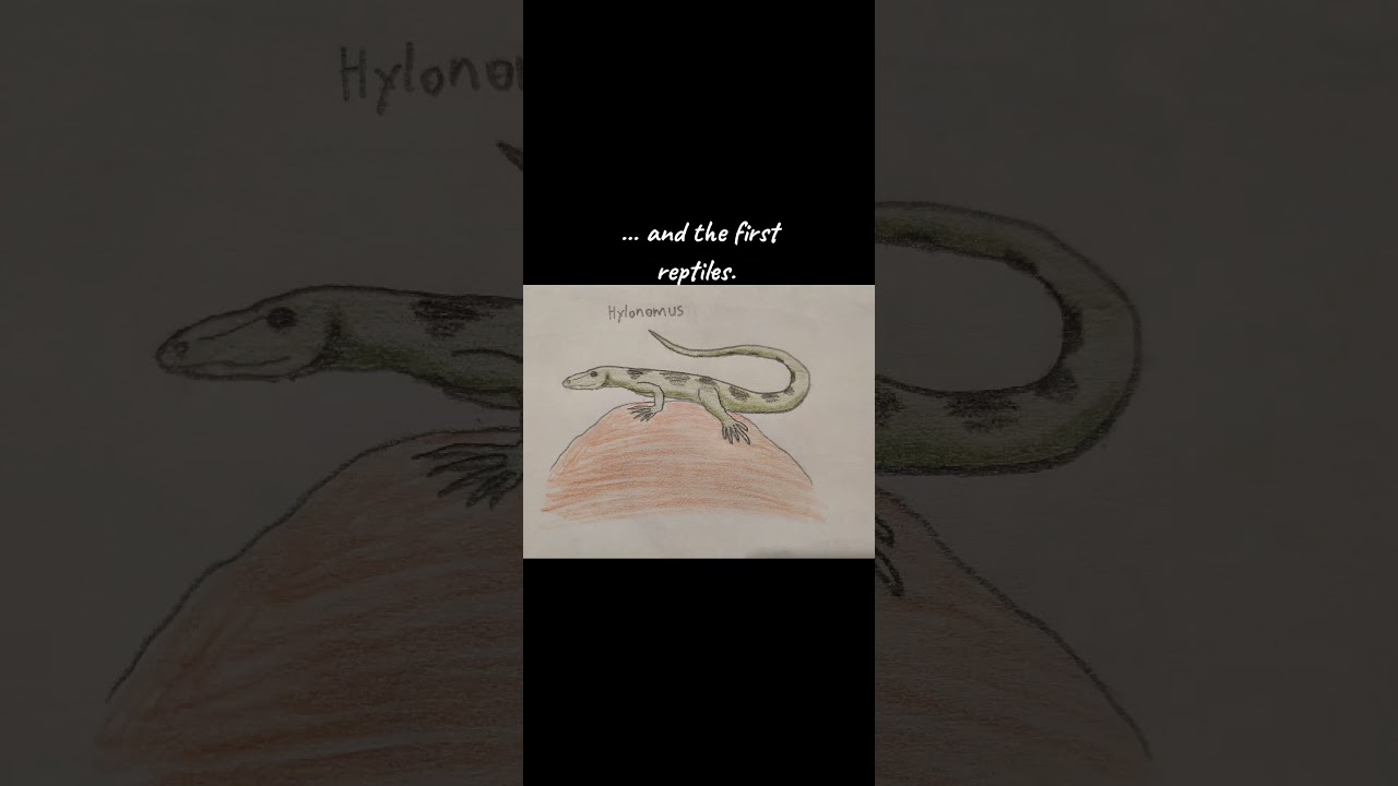 busting myths about prehistory #2 