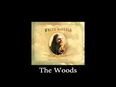 The White Buffalo (+) The Woods