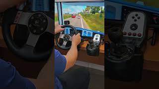 🤭 #shorts #ets2 #gaming #romanixgamer