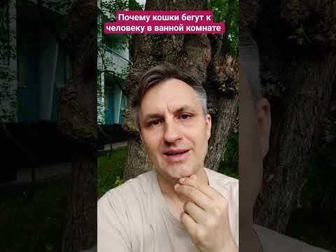 Почему кошки бегут за вами в туалет