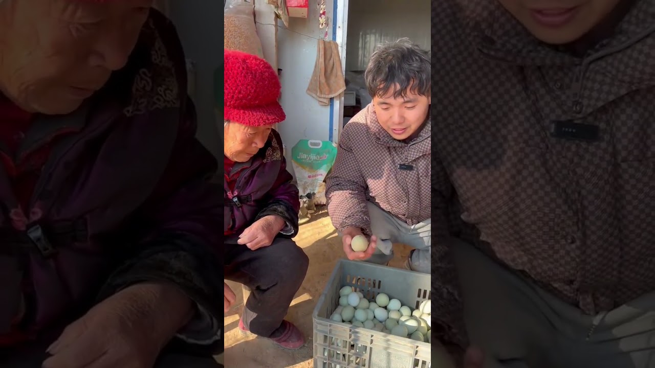 附近的一位奶奶来鸡场买鸡蛋，没想到奶奶吃鸡蛋吃得劲了，哈哈，太可爱了#我的乡村生活 #农村生活日常 #新农人计划