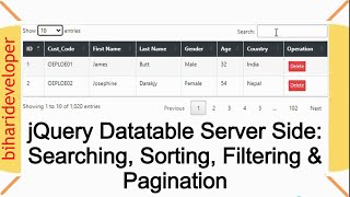 jQuery DataTable Server Side Searching, Sorting, Filtering, and Pagination #biharideveloper