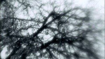 Solar Fields - Until We Meet The Sky [Full Album]