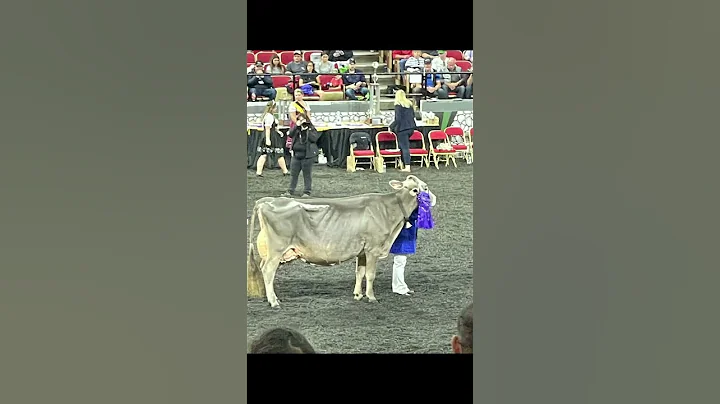 🌎🐄World Dairy Expo was Legen-DAIRY!   🥇Where Champions are crowned in the dairy world!