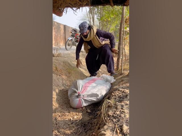 New Special Comedy Funny Video #luqmanchangwani #comedy #funny #shorts #viral