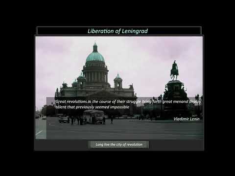 TNO - Liberation