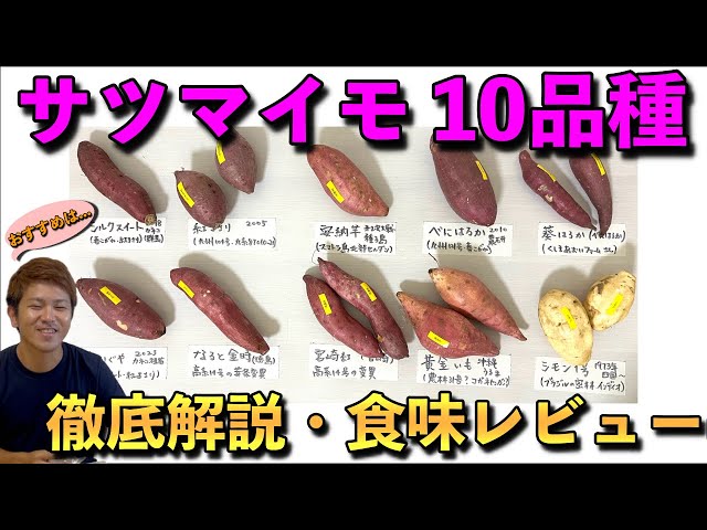 買う前に見て!!】サツマイモ10品種の徹底解説・食べ比べ食味レビュー