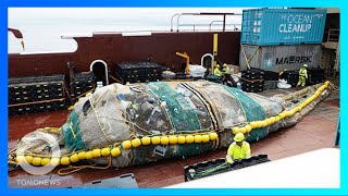【清理海洋】一週能清除9千公斤塑膠垃圾的海洋拯救者珍妮;體長1公尺如大型犬 古生代巨型「海蠍子」出土 |TomoNews