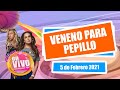 🔴 LA SANDOVAL ESTALLA CONTRA PEPILLO ORIGEL: "MENTIROSO" [Show completo] | Chisme en Vivo