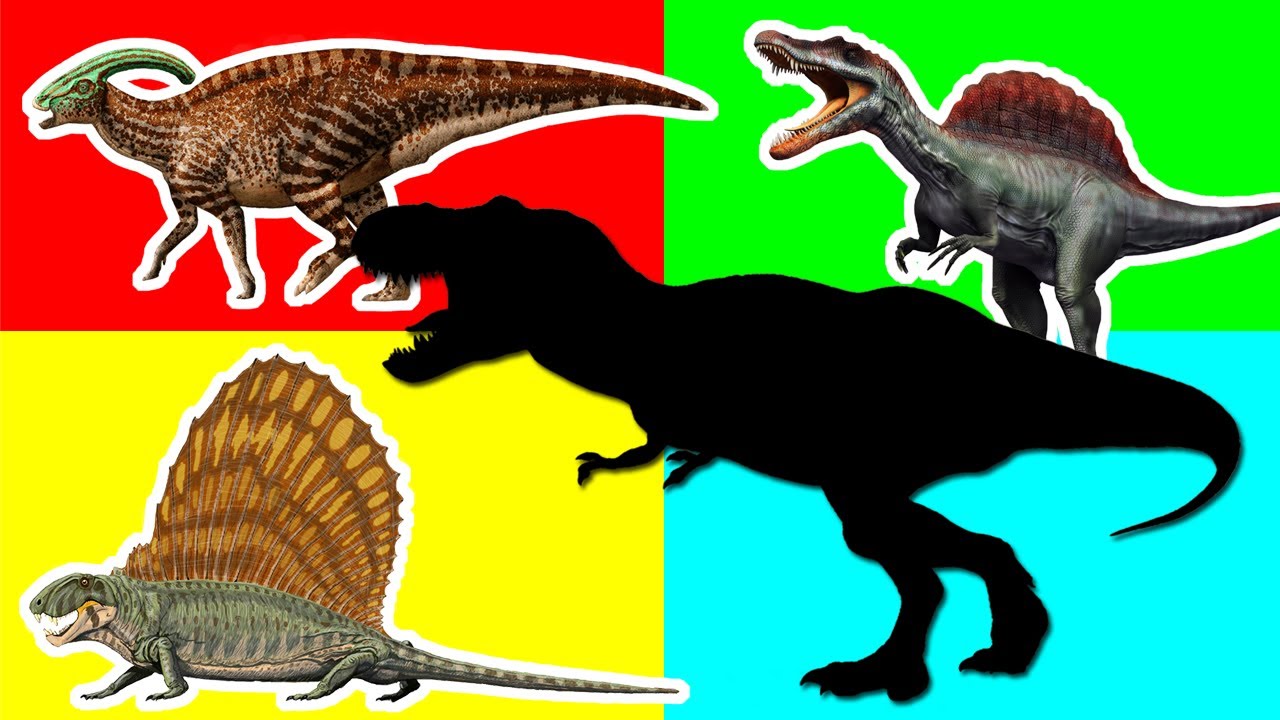Wrong Shadow Dinosaurs! Jurassic Dinosaurs Name and Sound Nursery