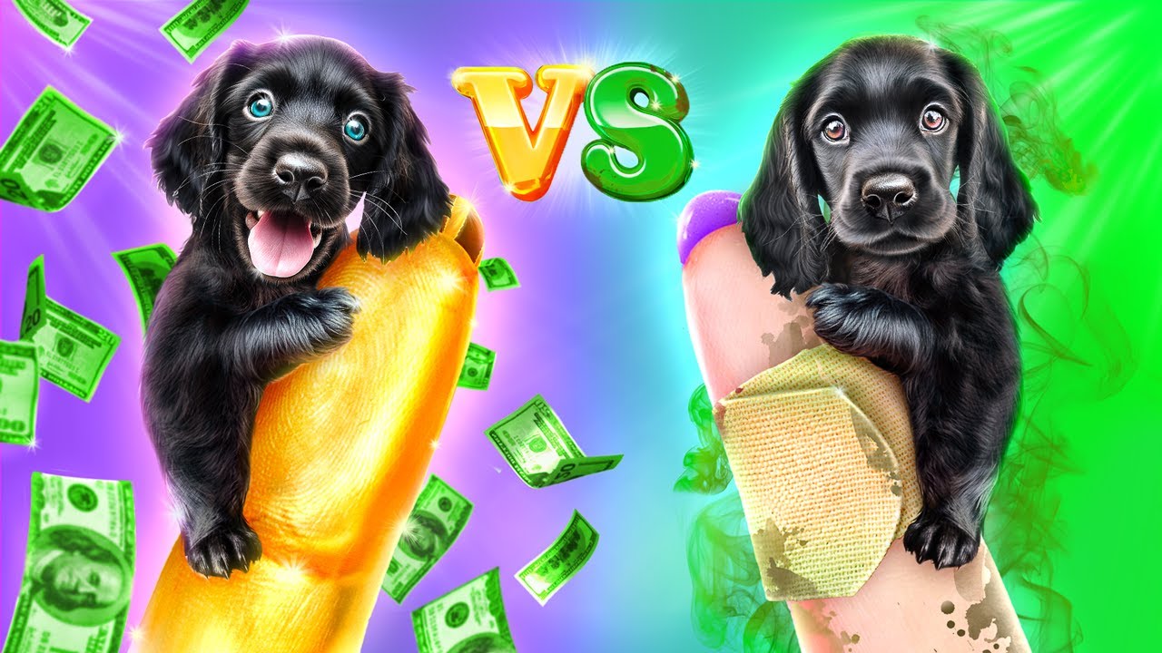 Rich vs Broke Dog! Awesome Hacks for Pet Owners