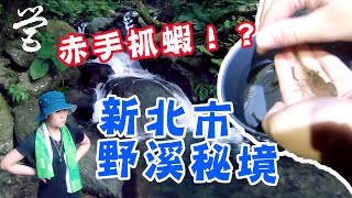 【烏來哈盆】這麼近的野營秘境？赤手抓蝦啦~ #37