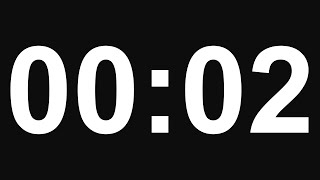 2 Second Timer - No Alarm - 8K