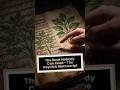 The Book Nobody Can Read. Why the Voynich Manuscript Is Still Impossible to Decode.