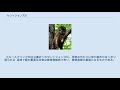 セントジョンズ川