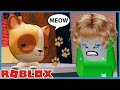 Roblox EXTREME Hide And Seek With My Cats