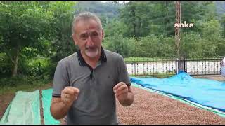 Mustafa Adıgüzel Bu, Erdoğanın Açıkladığı Son Fındık Fiyatı Olacak