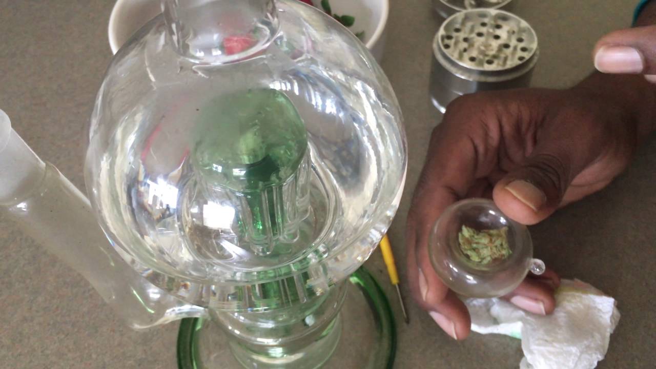 STRAIN REVIEW: STAR DAWG & MORE IN WASHINGTON DC