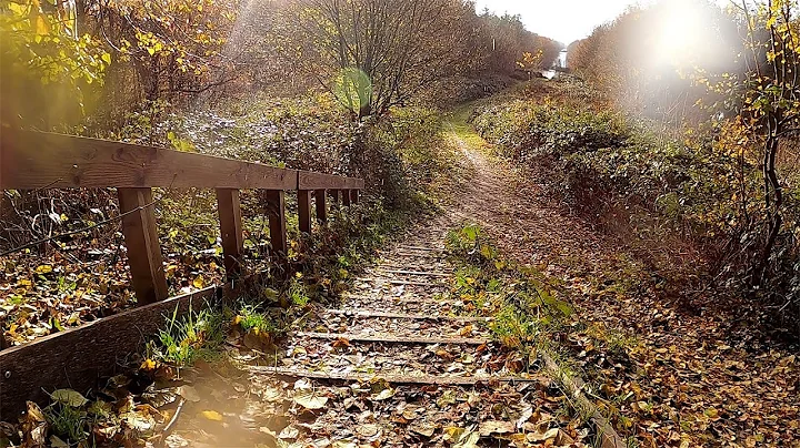 Sunshine and rain at the same time. [Ambient sound...