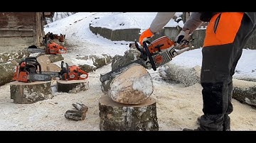261 STIHL  3,8 HP  50,2 CC & frozen beech stump