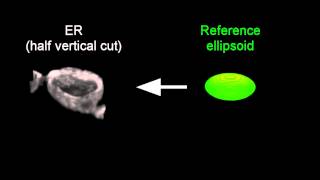 2D Map Projections For Visualization And Quantitative Analysis Of 3D Fluorescence Micrographs