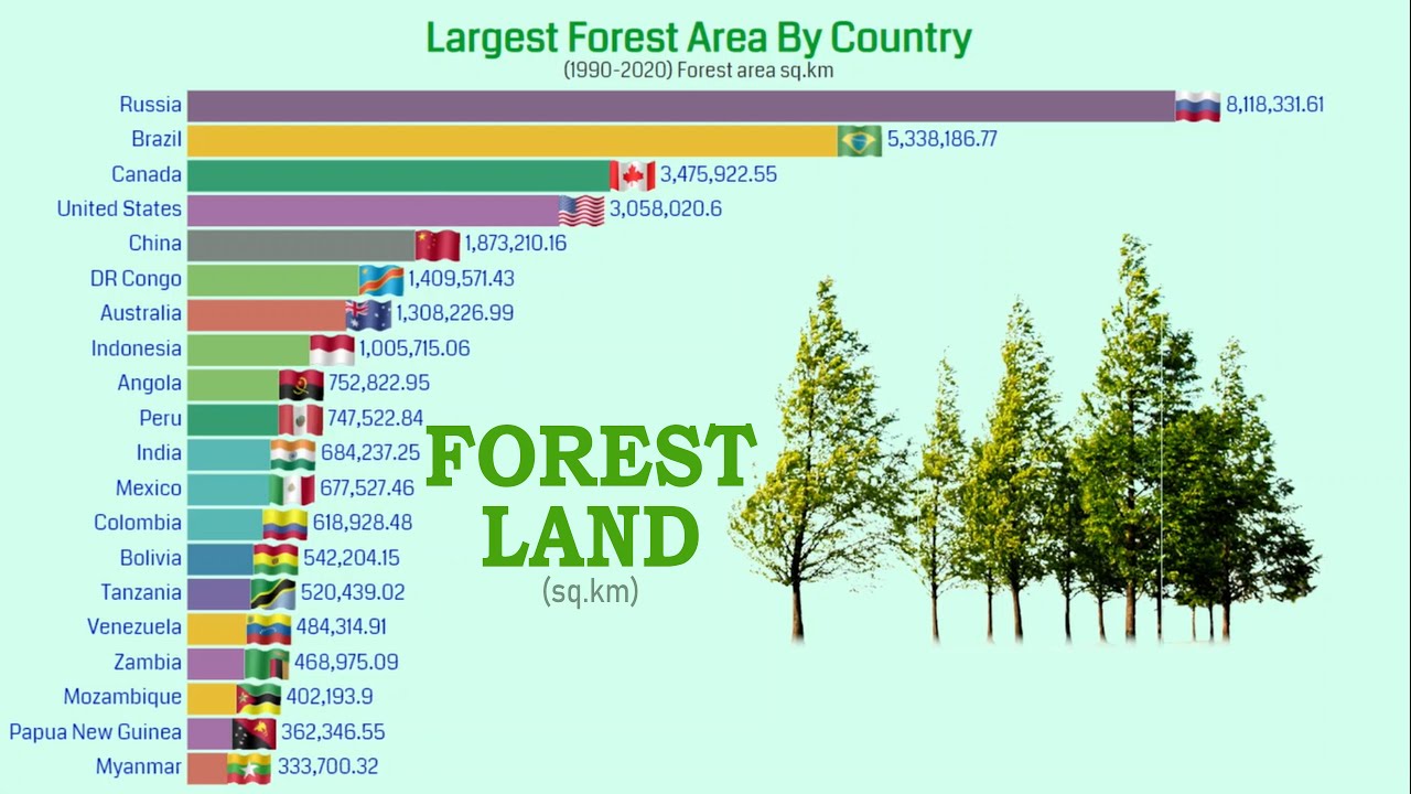 Total Forest Area By Country (19902020) YouTube