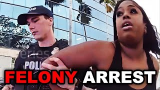 Entitled Karen Turns Simple Traffic Stop into FELONY Arrest