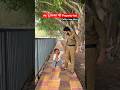 Ab ‘तू सरकार की’ Property hai😂 #police #comedy #viralvideo