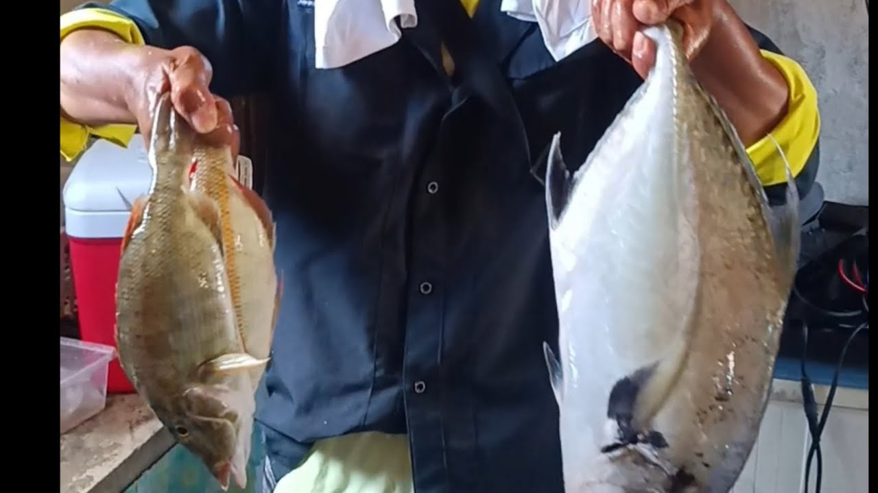 DAHIL SA ASUKAL NAKA PALDO TAYO