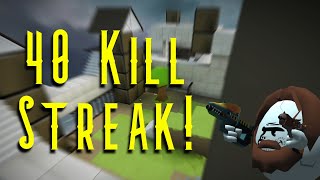 40 Kill Streak! | Shell Shockers