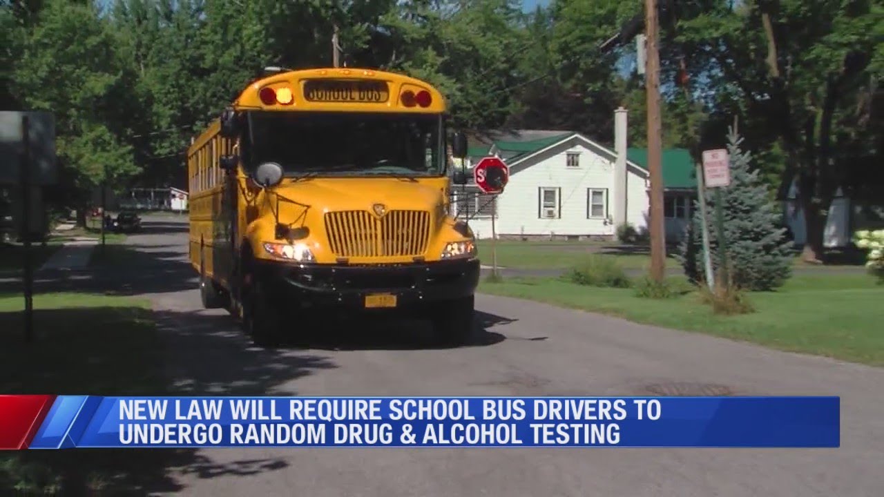 Drug testing for bus drivers YouTube