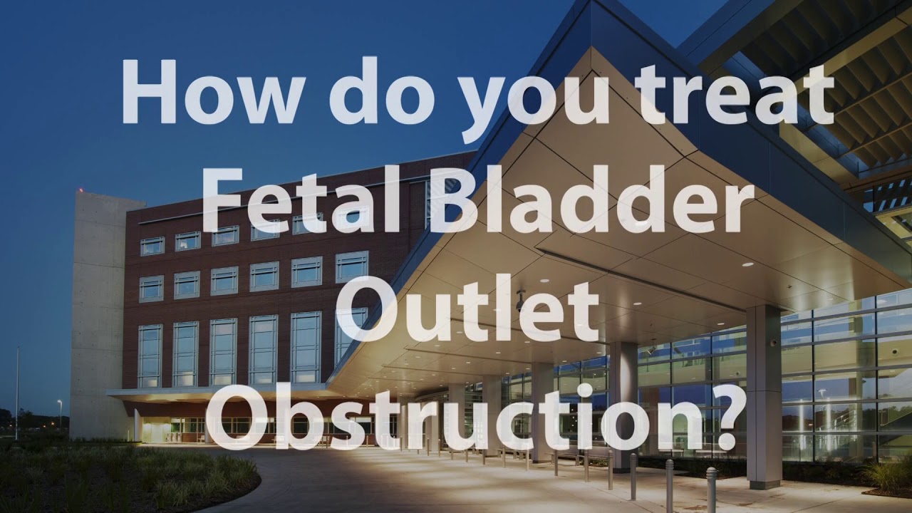 What Is Fetal Bladder Outlet Obstruction YouTube