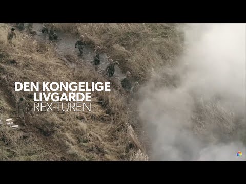 Video: De ændrede Deres Udseende Og Forsvandt Fra Radaren: Hvad Der ødelagde Stjernernes Karriere