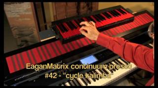 The Haken Continuum Keyboard Extension