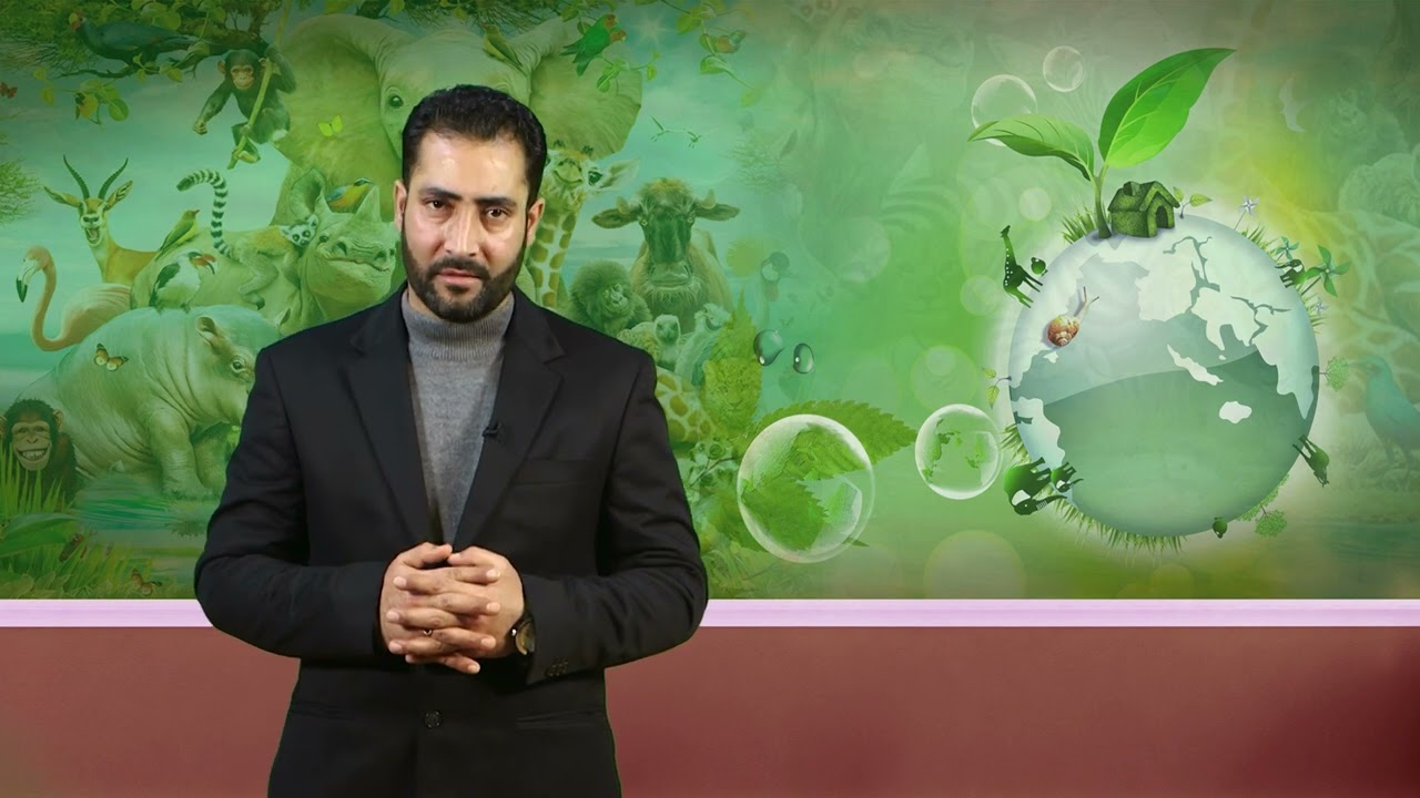 L20   Wetland ecosystems