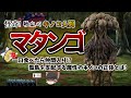 【ゆっくり解説】マタンゴ 怪奇! 吸血のキノコ人間 一口食べたら仲間入り!? 孤島を支配するキノコの正体とは!