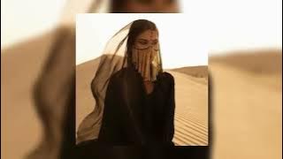 📹Busta Rhymes, Sherine - Sabri Aleel x I Know What You Want (TikTok remix) →