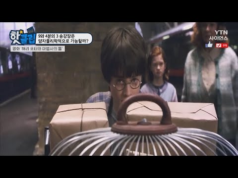 [핫클립] 9와 4분의 3 승강장은 양자물리학적으로 가능할까? / YTN 사이언스