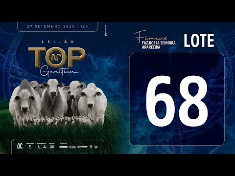LOTE 68 FSM A2325