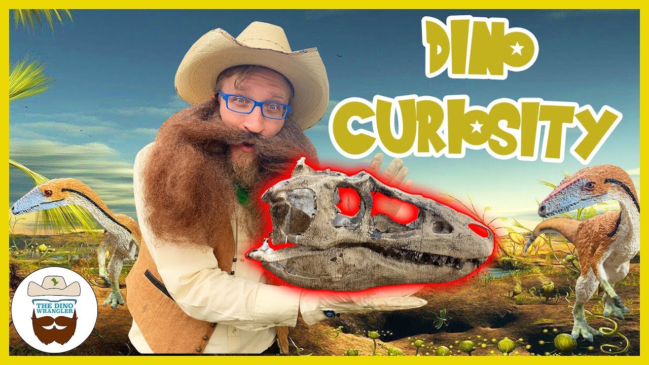 Dino Curiosity | Learn about one of the first dinosaurs | Dinosaurs for kids