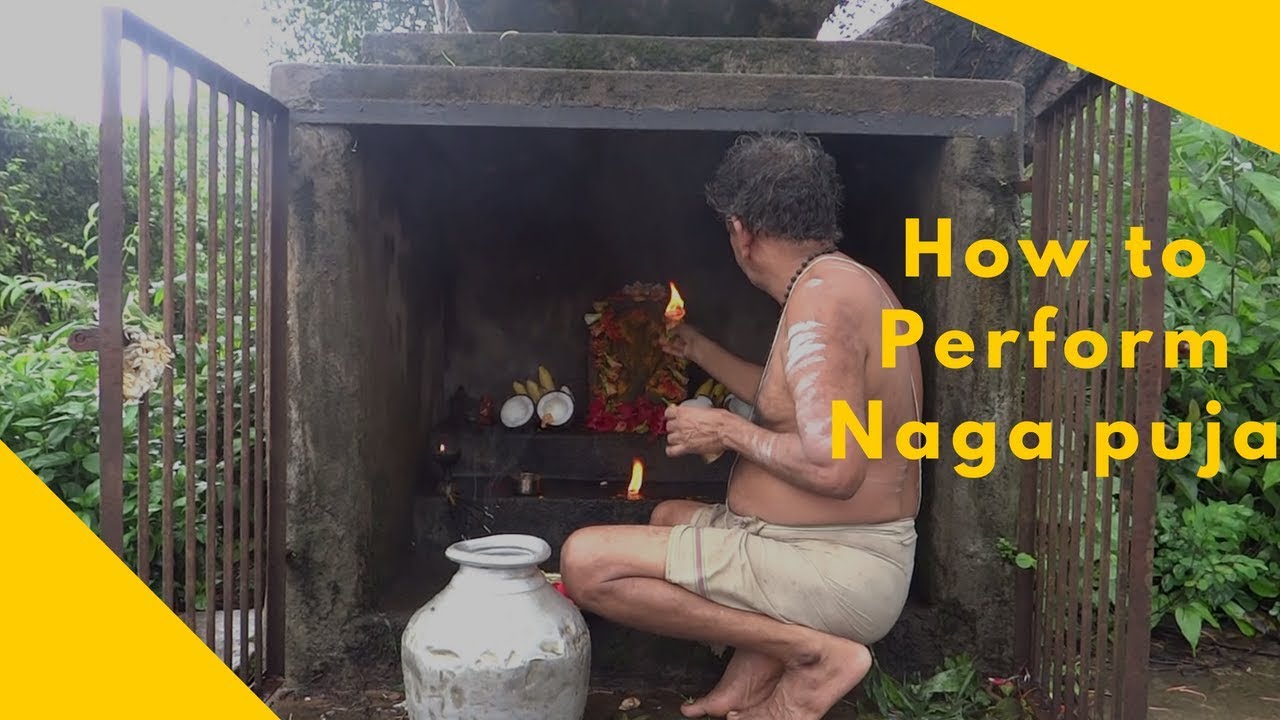 How To Do Naga Puja At Home